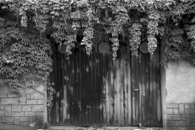 Closed for so long_4888055233_l.jpg